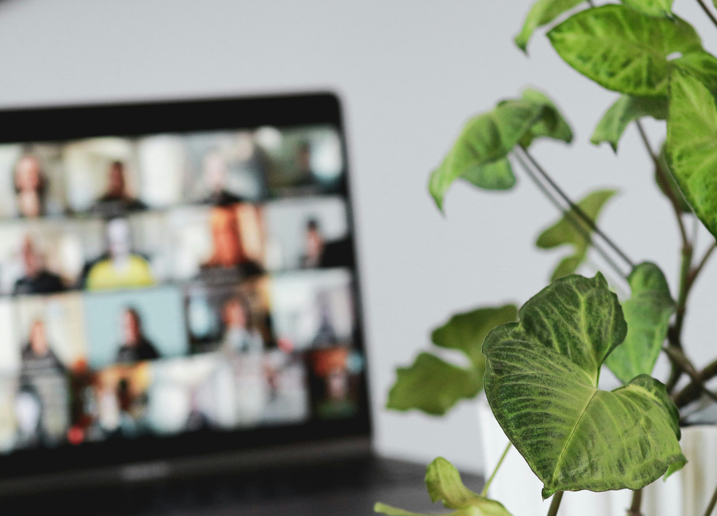 You are currently viewing Committee update: new coordinators from 1 June